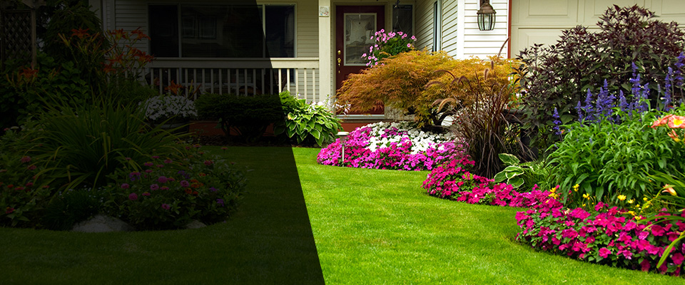 Sunnyside Landscapers