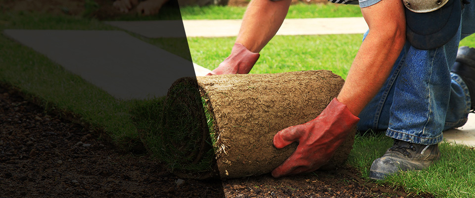 Sunnyside Landscapers